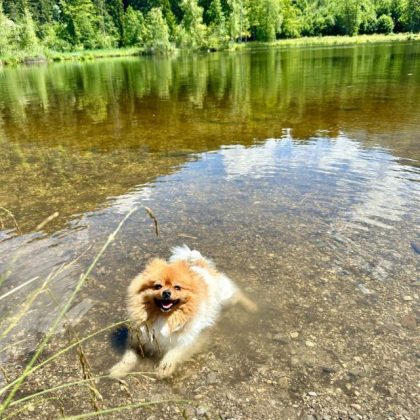 82cff889-89a8-466d-9eb1-2bff3bdff95e-8dd97315