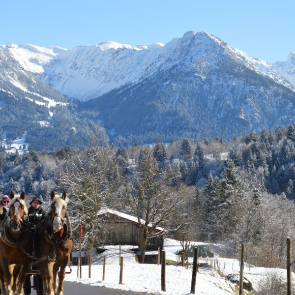 94b4d972-fc5c-4e5e-92eb-999fdbc48580