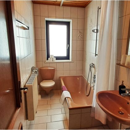 Das_Badezimmer_im_Appartement