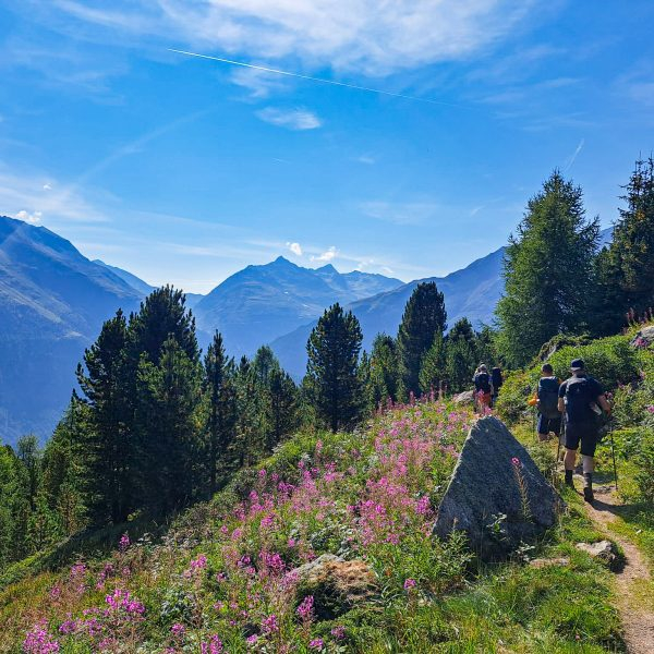 Höhenweg auf dem E5