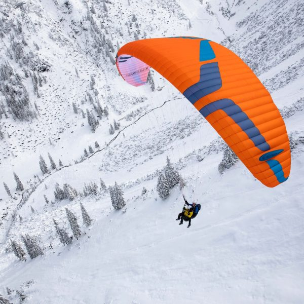 Kopie von AJ2A52522024.04.18_Magnum 4_vogelfrei_Winter