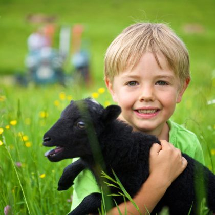 Starennest_Impressionen-07