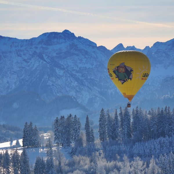 WhatsApp Image 2025-01-07 at 10.04.10