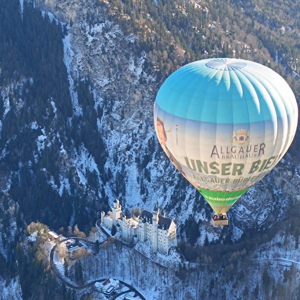 WhatsApp Image 2025-01-19 at 16.54.11