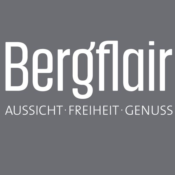 bergflair logo
