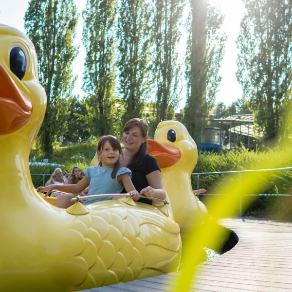 (c) Ravensburger Spieleland, Quietsch Entenrennen