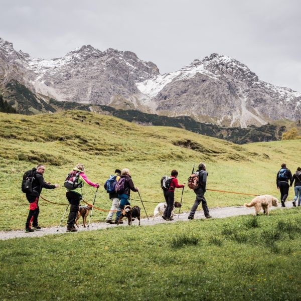 hundewanderung-fiederepasshutte011