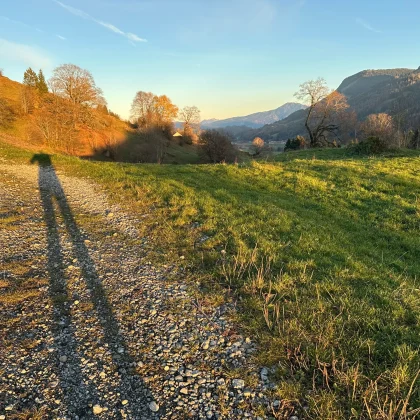 med_0b23788f-4687-4660-8cff-206c2e2a8ea8