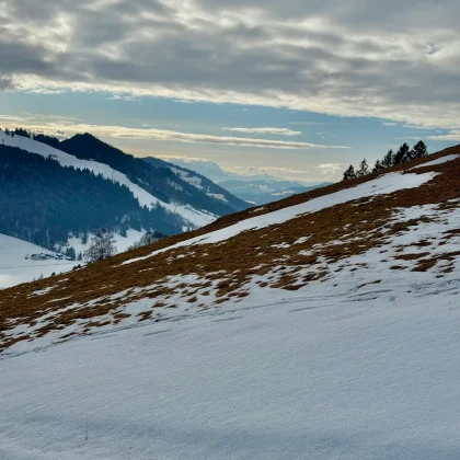 med_6915c925-6628-4ecf-9ade-a657599c56d9