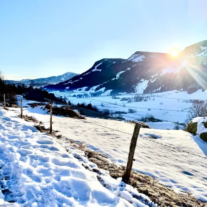 med_6b41594c-5bfb-4f33-883d-066778d09e8c