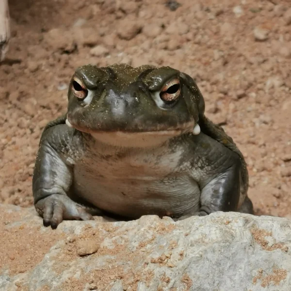 med_936436f8-1ba7-47b3-a511-167b3505ff97