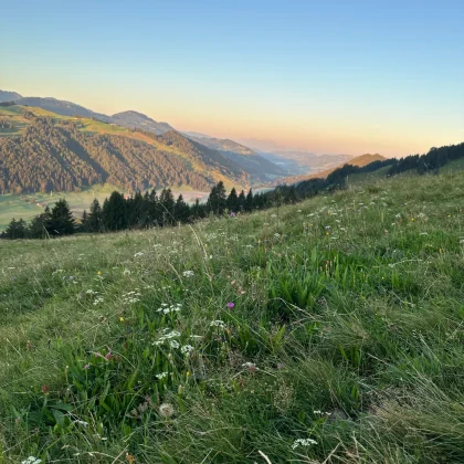 med_a1f86c2b-bc56-4096-9205-145775d2adea