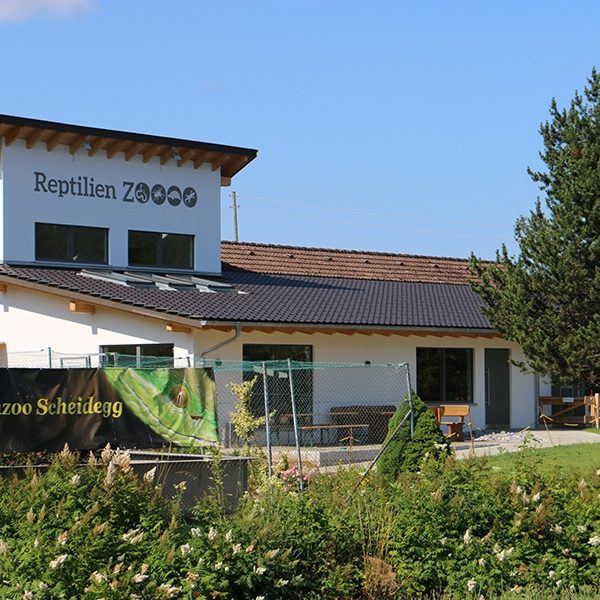 reptilienzoo-scheidegg-gebaeude_800x600px